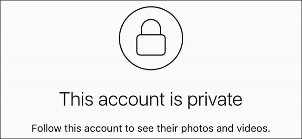 how to see private account